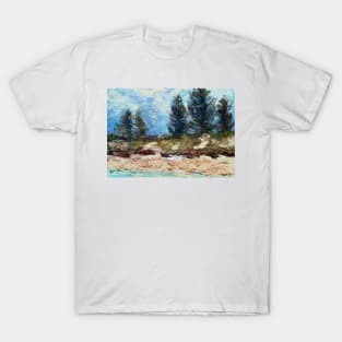 Storm brewing - Lake Cathie Beach T-Shirt